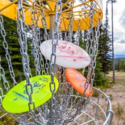 Play Disc Golf With Friends