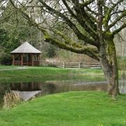 Campbell Valley Regional Park, Langley, BC, Canada