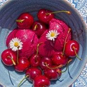Cherry Sorbet