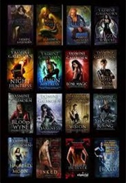 The Otherworld Sisters of the Moon Series (Yasmin Galnorn)