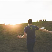 Play Disc Golf in the Park