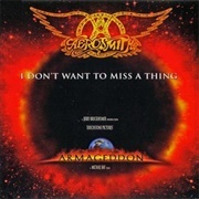 Aerosmith - 'I Don't Want to Miss a Thing'