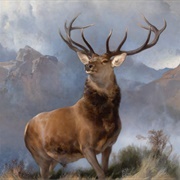 Monarch of the Glen (Edwin Landseer)
