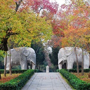 Nanjing Ming Dynasty Tombs