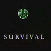 Survival (ITV)
