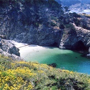 Point Lobos State Natural Reserve, Monterey Bay
