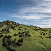 Brushy Peak Regional Preserve