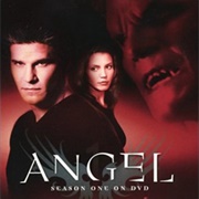 Angel Season 1