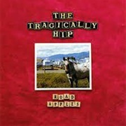 The Tragically Hip - Road Apples