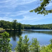 Cockaponset State Forest