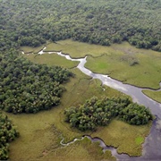 Crystal River Preserve State Park