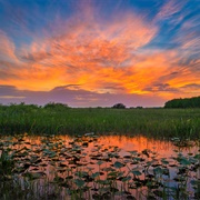 Loxahatchee National Wildlife Refuge