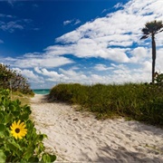 Dr. Von D. Mizell-Eula Johnson State Park