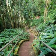 Wahiawa Botanical Garden