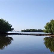 Mound Key Archaeological State Park