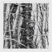 Aveilut (Scarcity, 2022)