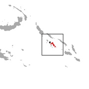 New Georgian Monkey-Faced Bat