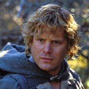 Samwise Gamgee (Lord of the Rings)