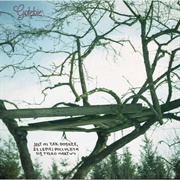 Jest Mi Tak Dobrze, Że Lepiej Poczułbym Się Tylko Martwy (Gołębie, 2018)