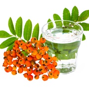 Vogelbeerschnaps (Rowanberry Schnapps)