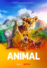 Animal (2021)
