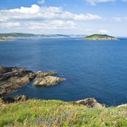 Looe Island
