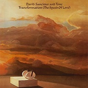 David Sancious & Tone: Transformation (The Speed of Love)