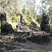 Lava Tree State Monument