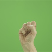 Icelandic Sign Language