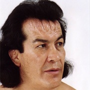 Perro Aguayo