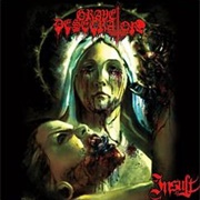 Grave Desecrator - Insult