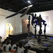 Paleontology Museum, Guadalajara