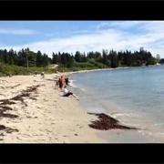 Roque Bluffs State Park