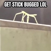 Get Sticked Bugged