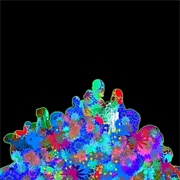 Vessel (Dark Time Sunshine, 2010)