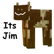 Itsjim