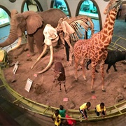 Nairobi National Museum, Kenya