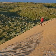 Great Sandhills, Saskatchewan