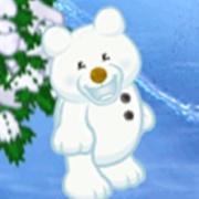 Snow Bear