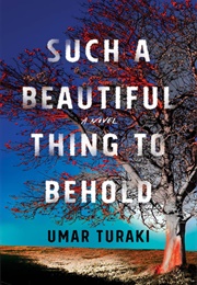 Such a Beautiful Thing to Behold (Umar Turaki)