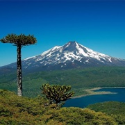 Parque Nacional Conguillío, Chile