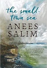 The Small-Town Sea (Anees Salim)