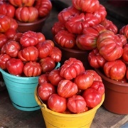 Oaxaca Tomatoes