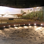 Dinosaur State Park, Connecticut