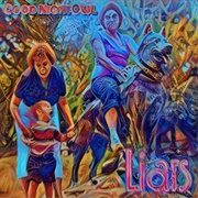 Good Nightowl - Liars