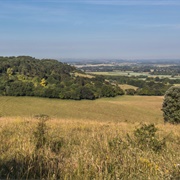 Aston Rowant Nature Reserve