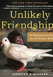 Unlikely Friendships (Jennifer S. Holland)