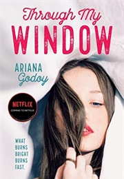 Through My Window (Ariana Godoy)
