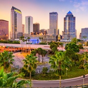 Tampa, FL