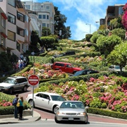 Driven a Vehicle Down Lombard Street, San Francisco